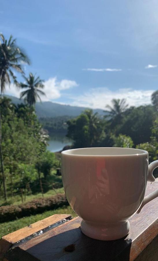 דיגאנה Victoria Views Resort Kandy מראה חיצוני תמונה