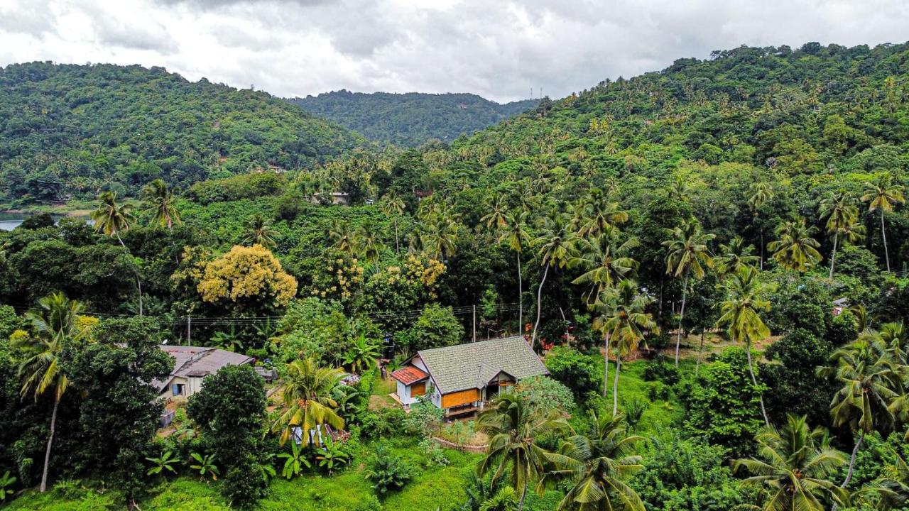 דיגאנה Victoria Views Resort Kandy מראה חיצוני תמונה