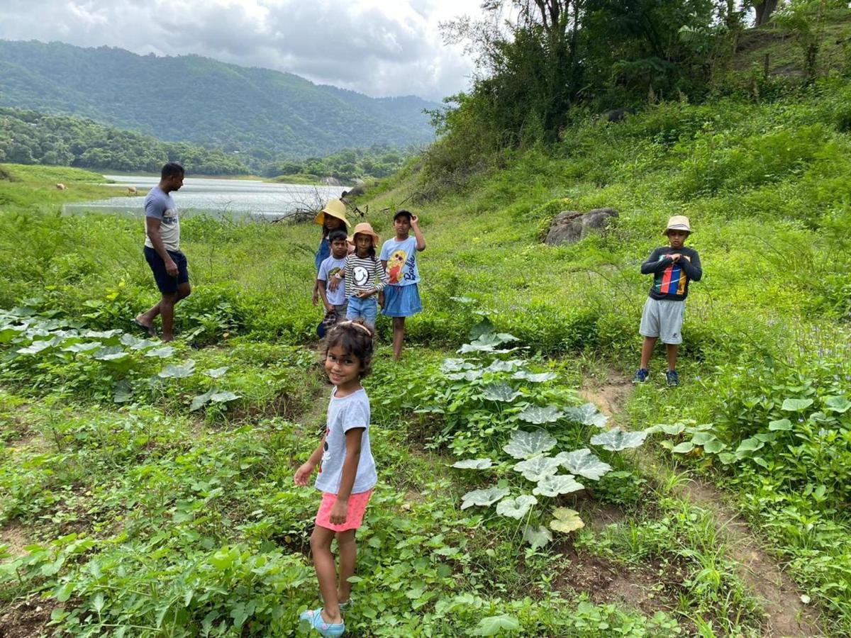 דיגאנה Victoria Views Resort Kandy מראה חיצוני תמונה
