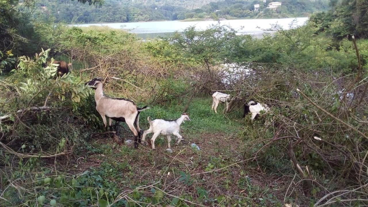 דיגאנה Victoria Views Resort Kandy מראה חיצוני תמונה