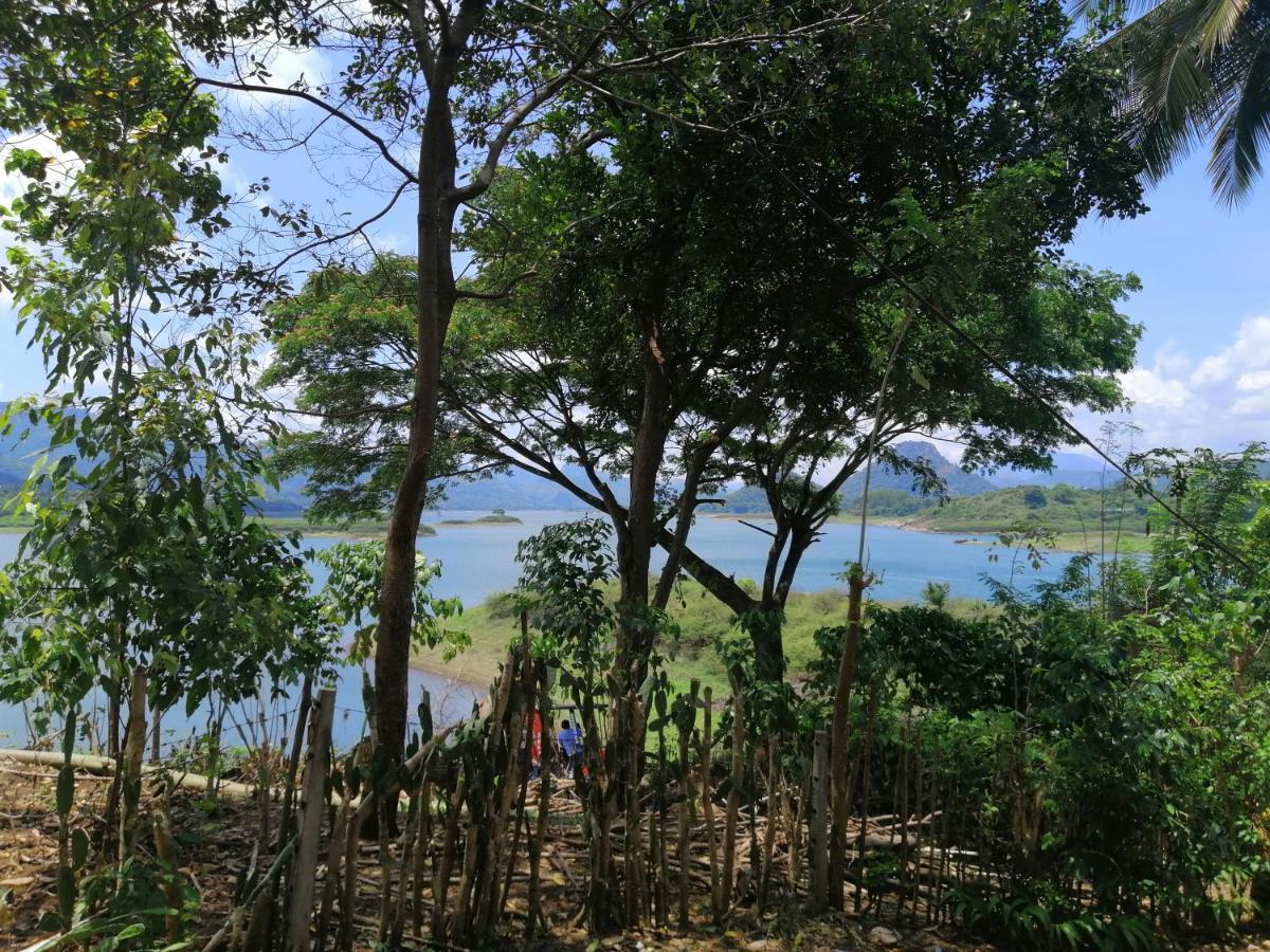 דיגאנה Victoria Views Resort Kandy מראה חיצוני תמונה